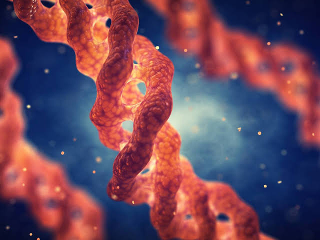 COLLAGENE