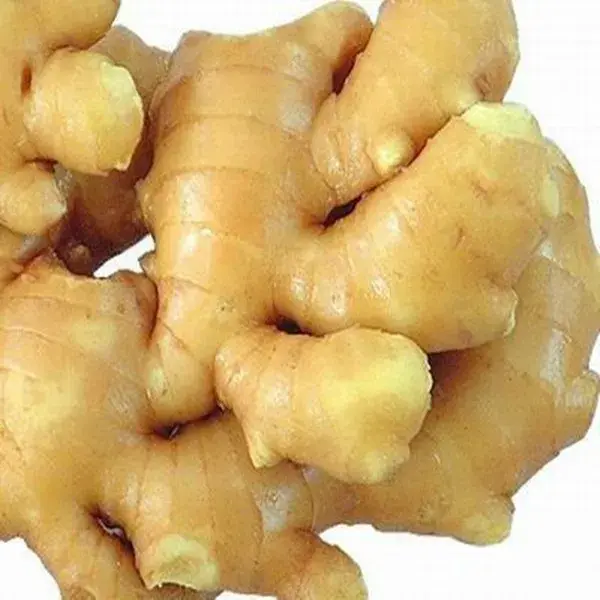 GINGEMBRE FRAIS1