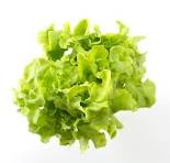 SALADE VERTE