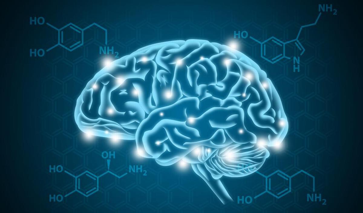 serotonine